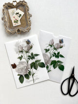 Elegant Vintage floral Vellum pocket DIY Wedding Invitation