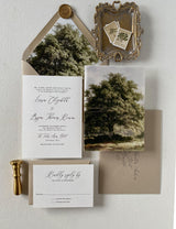 Rustic Oak Tree Wedding Invitation with Vellum Wrap and Twine