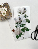 Elegant Vintage floral Vellum pocket DIY Wedding Invitation