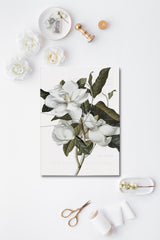 Magnolia Floral Vellum Overlay, and Envelope liners
